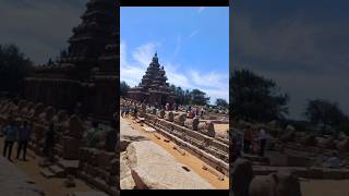 Mamallapuramsuriyanar temple [upl. by Skip]