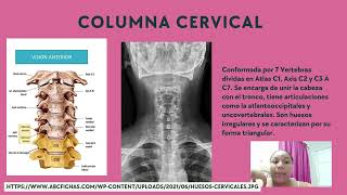 ANATOMIA RADIOLOGICA DE COLUMNA CERVICAL [upl. by Etnasa911]