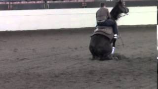 Reining horses sliding stop Oops Moment [upl. by Omocaig]