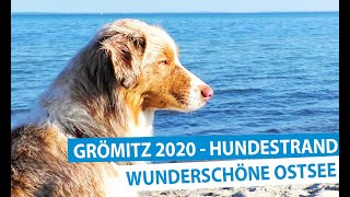 Grömitz an der Ostsee  Der Hundestrand [upl. by Waylen]