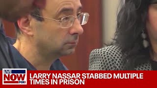 Disgraced sports doctor Larry Nassar stabbed multiple times in prison  LiveNOW from FOX [upl. by Schechinger116]