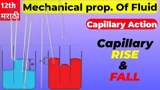 Capillary Action capillaries capillaryaction [upl. by Charity]