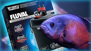 Fluval 407 Canister Filter Setup amp Review [upl. by Maillw]