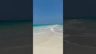 Sansibar Tansania shorts beach beautiful [upl. by Noseyt]