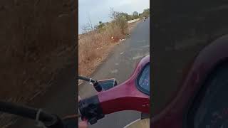 Bajaj M80 4 STROKE Top SPEED 🔥🔥 [upl. by Lyle378]