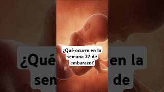 🤔 ¿Qué ocurre en la semana 27 de embarazo 🤰 Síntomas y desarrollo del bebé [upl. by Namaj]