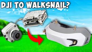 This Can Make FatShark and DJI Compatible  WalkSnail to DJI Compatability [upl. by Toolis]