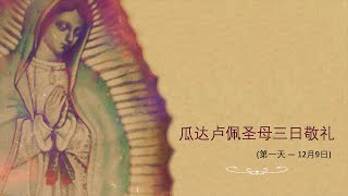 2023 MAN Day 2 瓜达卢佩圣母三日敬礼  Triduum Our Lady of Guadalupe [upl. by Jerrylee233]