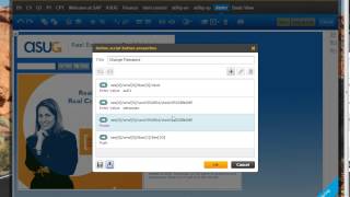 SAP Screen Personas simple script [upl. by Nonnad304]