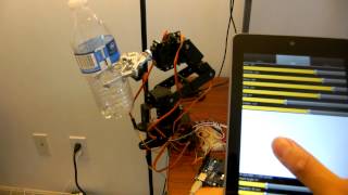 6 DOF Robotic Arm control [upl. by Sehcaep]