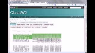 Bioinformatics practical 4 multiple sequence alignment using ClustalW [upl. by Nangem475]