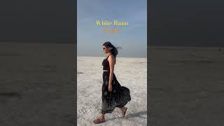 Kutch Festival  White Rann of Kutch incredibleindia whiterann safedrann kutchfestival travel [upl. by Alial]