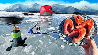 CATCH and COOK while Ice Fishing Delicious Mountain Trout [upl. by Oberon]