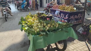 Amrood Laga Liye 😊  Amrood Ke Bagh Gaye 😍  Guava Garden ❤  amrood guava garden bagh  377 [upl. by Ross]