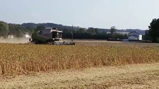 CRESSONI CRX 66m Sojaflex Claas Teil 5 [upl. by Aneladdam360]