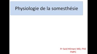 Neurophysiologie  Physiologie de la somesthesie FMPC [upl. by Orth342]