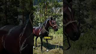 Rare horses location in Rdr2 🐎🔥 rdr2 reddeadredemtion2 gaming [upl. by Strage62]