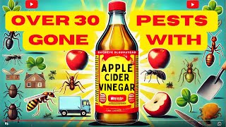 Over 30 Pests Gone with One Ingredient Apple Cider Vinegar Hacks [upl. by Adnauqahs]