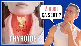 Tout savoir sur la thyroïde  système endocrinien 02 [upl. by Shoemaker]