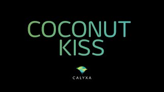 Coconut Kiss  wie die Piña Colada aber ohne Alkohol [upl. by Walt891]