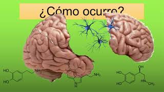 ¿Qué es la esquizofrenia ENTIENDELO DE UNA VEZ con indice [upl. by Rolf]