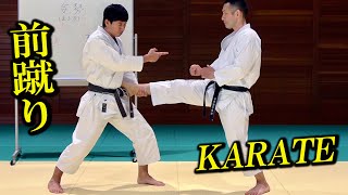 【Karate】How to hit quotMaegeriquot Front kick from any distance【Tatsuya Naka】With various subtitles [upl. by Bindman600]