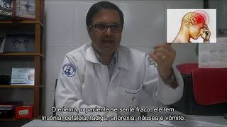 FISIOPATOLOGIA DO SISTEMA RENAL [upl. by Shaun]