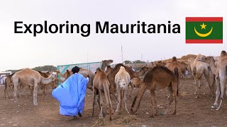 Exploring the Biggest Camel Market in the Sahara NOUAKCHOTT MAURITANIA 🇲🇷 [upl. by Nekal]