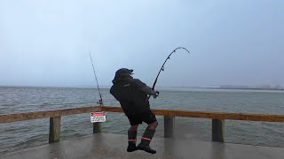 Saltwater Fishing During Hurricane Was WILD  Outstanding Fishing [upl. by Braun]