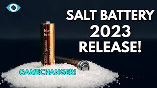 No More Lithium NEW SodiumIon Battery To BEGIN Mass Production [upl. by Raquel862]