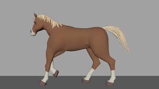 Horse Walk Trot Canter Gallop Cycle Animations [upl. by Artimas]