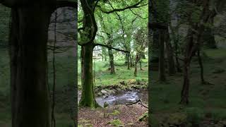 Killarney National Park [upl. by Yentroc]