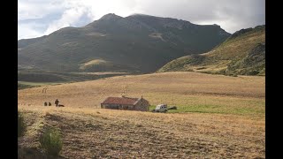 Tres días de Trashumancia desde la Montaña Palentina hasta los llanos de la Cañada Cerverana [upl. by Pancho]