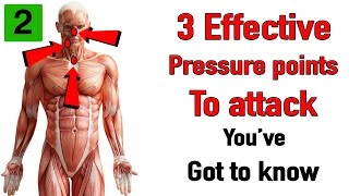 Three effective pressure points to attack you’ve got to know [upl. by Egor354]