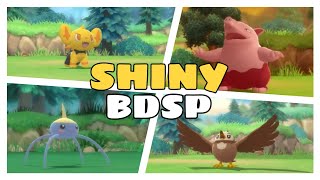 ✨ SHINY Reactions  PokéRadar Pokemon Brilliant Diamond amp Shining Pearl [upl. by Rempe]