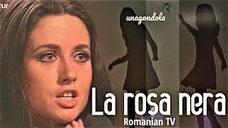 GIGLIOLA CINQUETTI quotLA ROSA NERAquot Cerbul De Aur Special for Romanian TV 1969 ⬇️Testo⬇️Lyrics [upl. by Weinstein458]