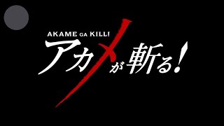 Akame Ga Kill  Akame Vs Esdeath [upl. by Batty]