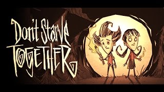 Dont Starve Together How to play using Hamachi [upl. by Nell]