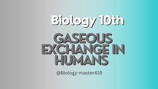 Gaseous exchange in humans Biology Class 10th STBB [upl. by Stargell151]