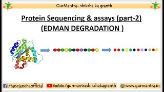 PROTEIN SEQUENCING amp ASSAYS  EDMAN DEGRADATION METHOD  PART2 [upl. by Eikkin772]