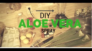 Making Fresh Aloe Vera Refresher Spray DIY [upl. by Ab]