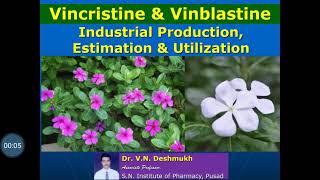 Vincristine amp Vinblastine  Production Estimation and Utilization [upl. by Sldney]