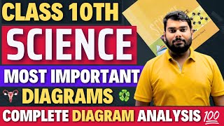 Class 10th  Science Most Important Diagrams🔥 Most important diagrams of Biology🔥Class 10 [upl. by Spielman]