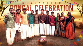 Blacksheep Pongal Celebration🥳💥  Blacksheep [upl. by Ewan]