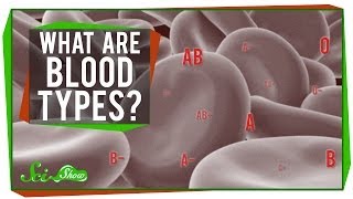 What are Blood Types [upl. by Oliva694]