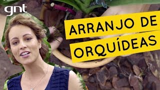 Como fazer um arranjo de orquídeas  Jardinagem  Carol Costa [upl. by Nerw]