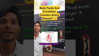 Class 11 Ch  15  BODY FLUIDS AND CIRCULATION  Coronary Artery Disease biology [upl. by Livesay]