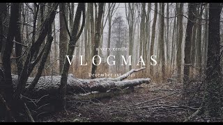 A very gentle vlogmas — December 1 2021 [upl. by Joachima303]