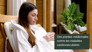 La phytothérapie pour prévenir les maladies cardiovasculaires [upl. by Hill652]