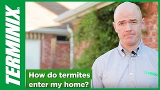 How Do Termites Enter the Home [upl. by Addiel]